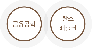 금융공학, 탄소배출권